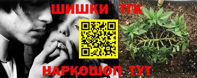 гидропоника Рузаевка
