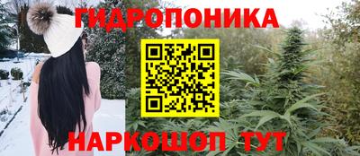 гидропоника Рузаевка