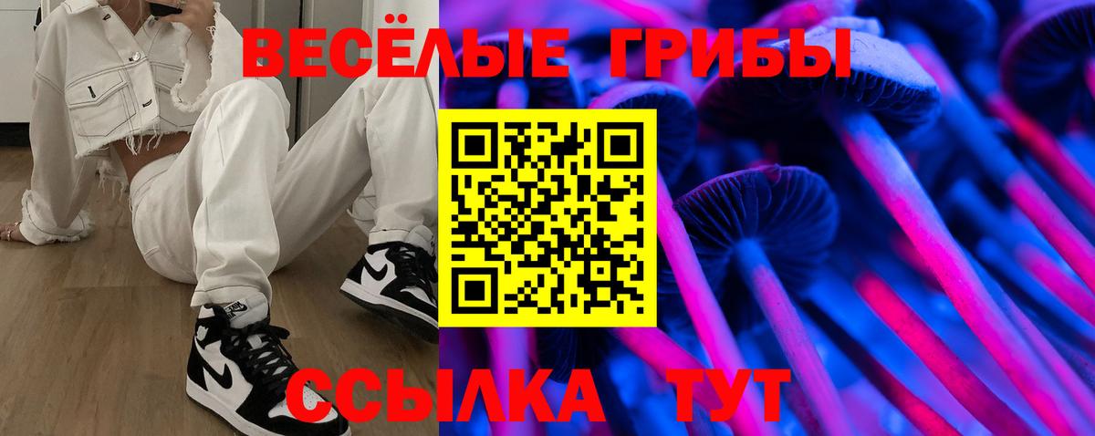 Псилоцибиновые грибы Psilocybe Оренбург